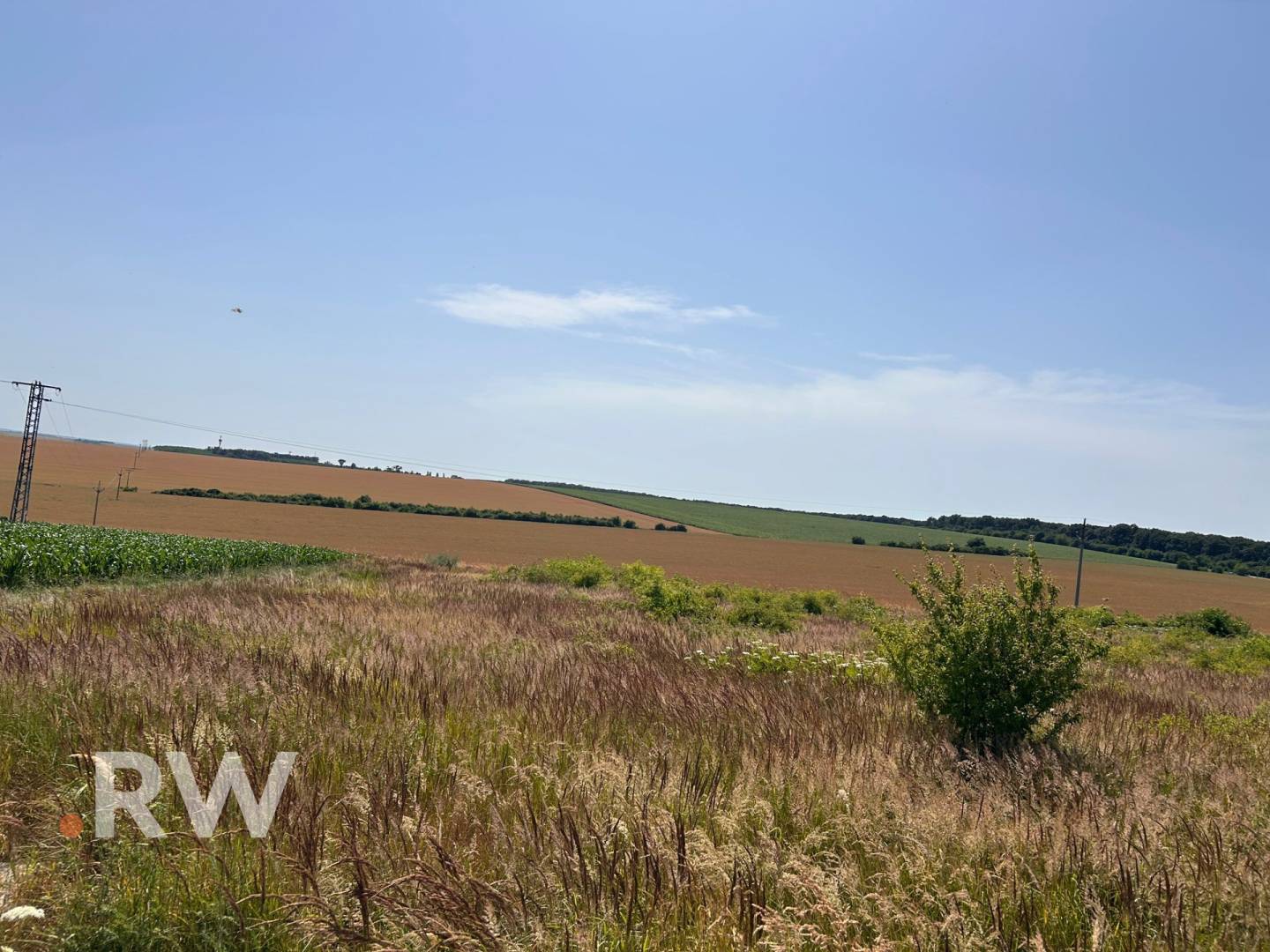 WhatsApp Image 2025-06-26 at 15.04.44.jpeg