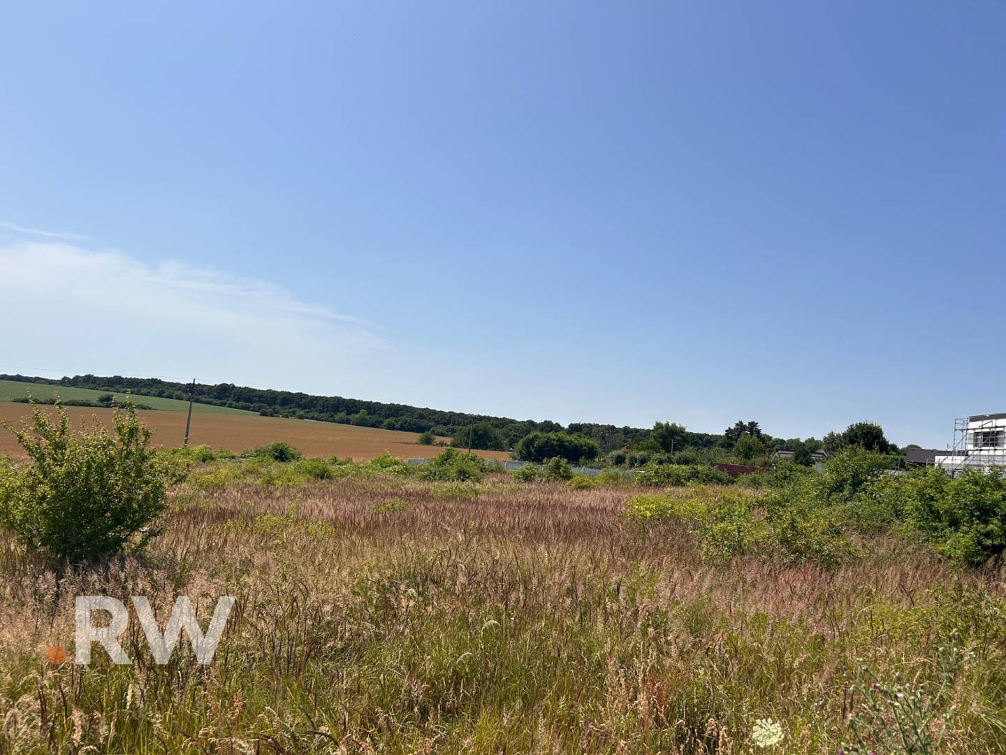 WhatsApp Image 2025-06-26 at 15.04.44 (1).jpeg