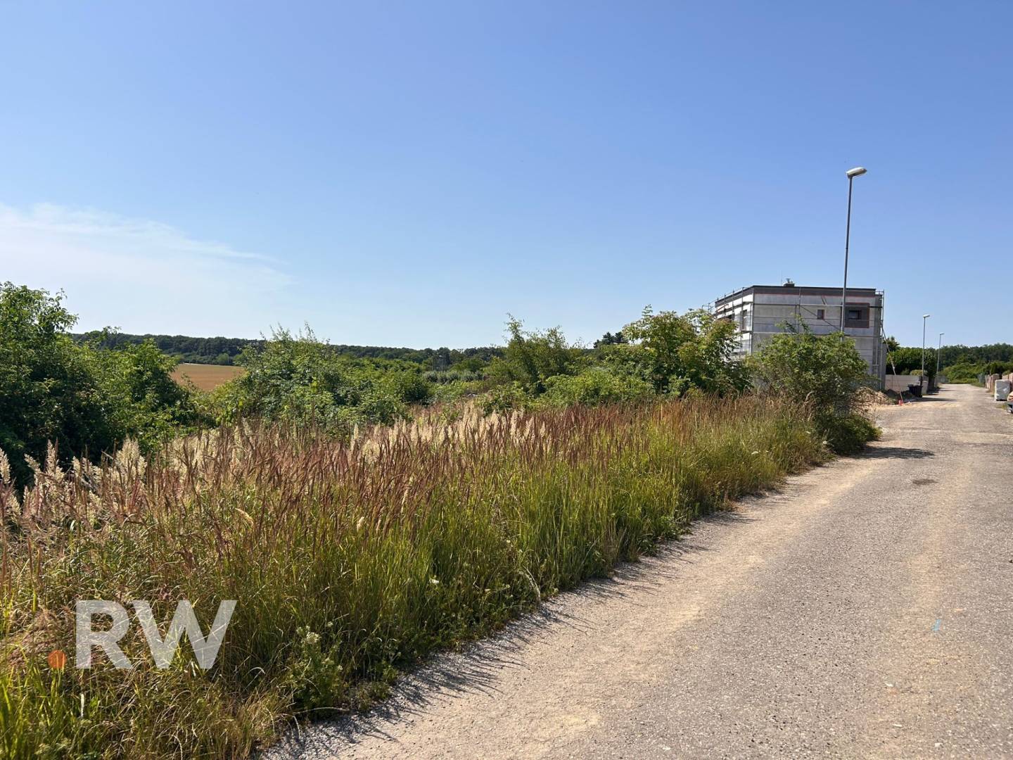 WhatsApp Image 2025-06-26 at 15.04.44 (2).jpeg